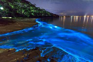 Sea of Stars Vaadhoo Island, Maldives