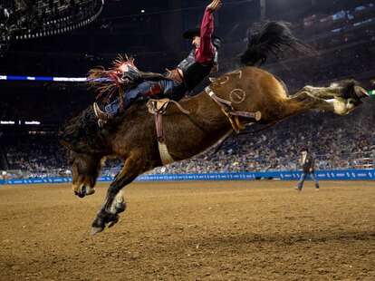 Houston Rodeo