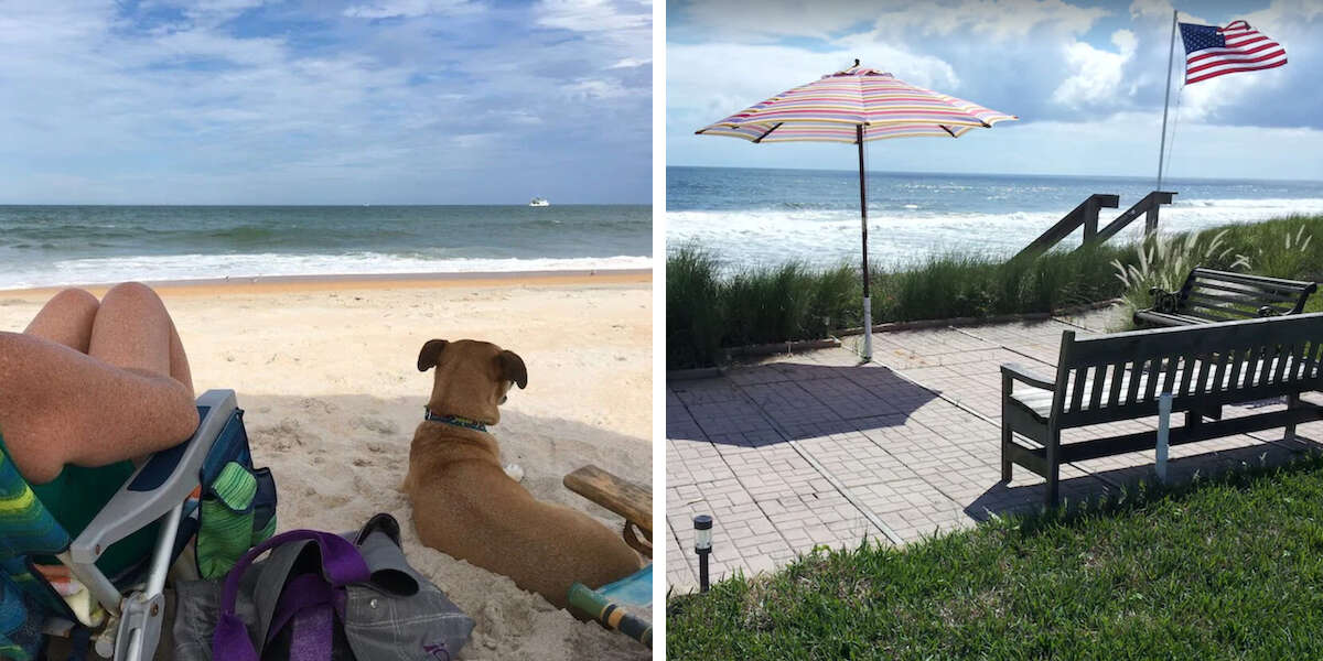This DogFriendly Vacation Rental Home In Florida Comes With Its Own