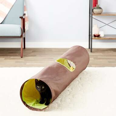 Interactive Cat Feeder Toys Keeps Your Cat Stimulated - DodoWell - The Dodo