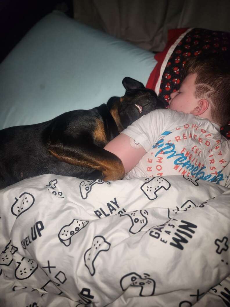 Dog Cuddles Her Brother To Sleep And Ends Up Saving His Life