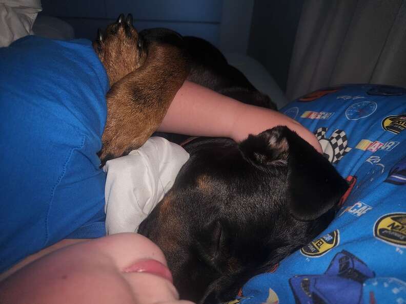 Dog Cuddles Her Brother To Sleep And Ends Up Saving His Life