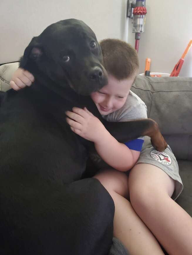 Dog Cuddles Her Brother To Sleep And Ends Up Saving His Life