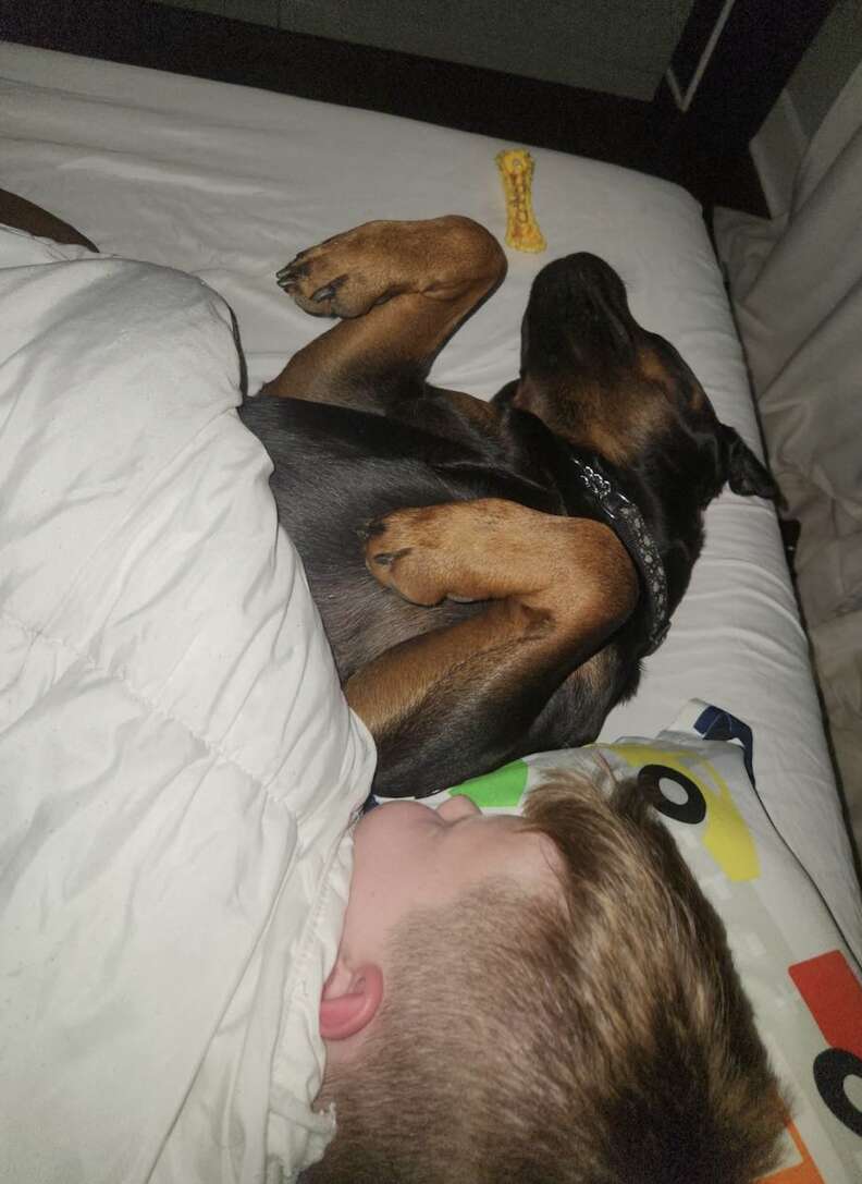 Dog Cuddles Her Brother To Sleep And Ends Up Saving His Life