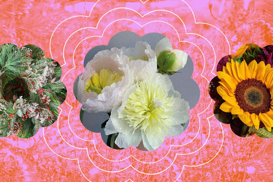 Flower CSAs Offer a MoodBoosting Weekly Flower Subscription Thrillist