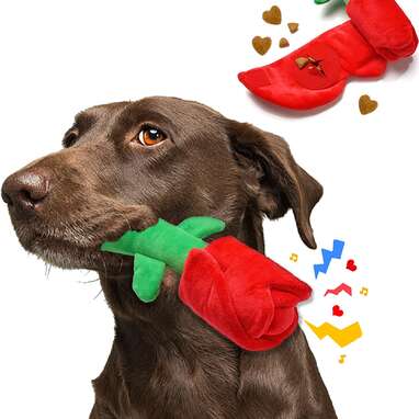 Puzzle Bones Whirlwind Dog Toys Pet Toys, Red