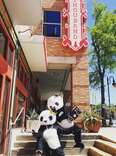 Pandas in Front of Old Thousand