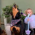 Rottweiler Loves To Sing With Her Baby Sister 