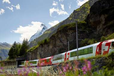 Glacier Express with the Matterhorn in background and wildflowers in foreground