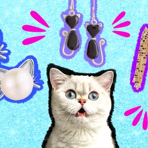 cat earrings