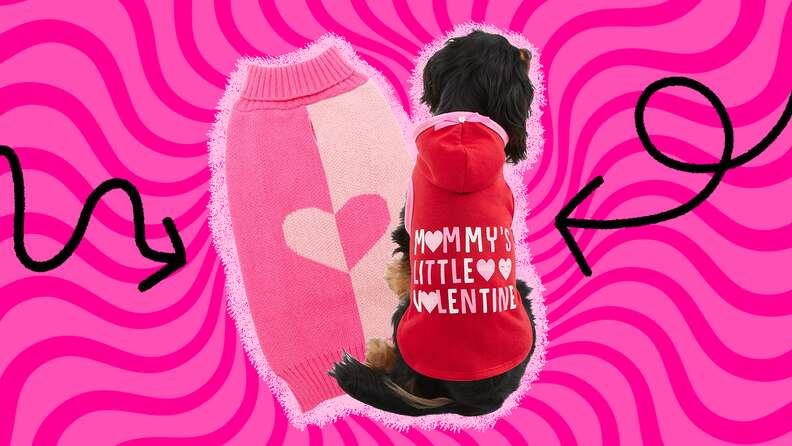 valentines day dog sweaters