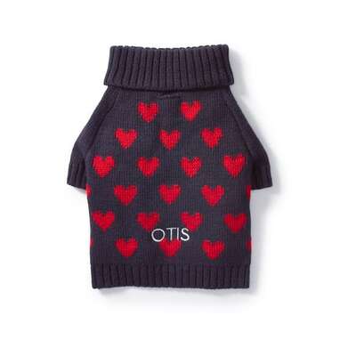 Valentine dog outlet sweaters