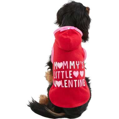 Valentines day 2024 dog clothes