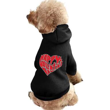 This to-the-point hoodie: Careform Heart Happy Valentines Day Pet Hoodie