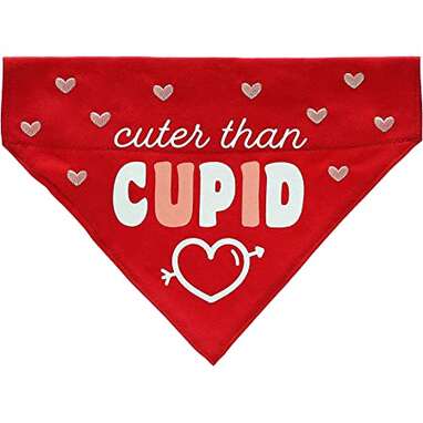 Valentine dog hot sale bandanas