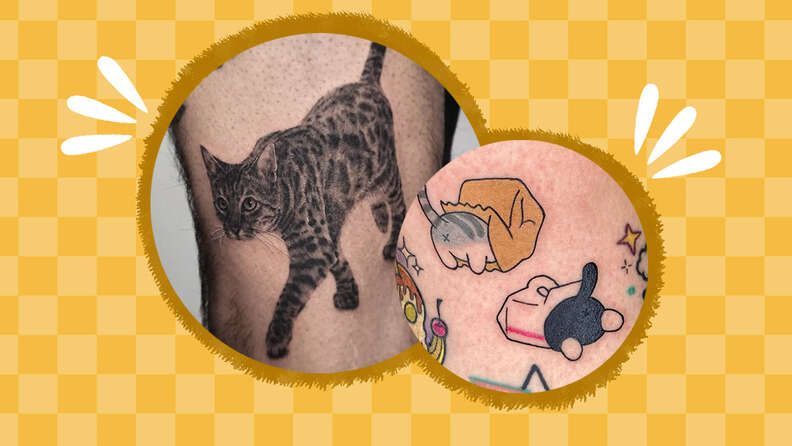 cat tattoo