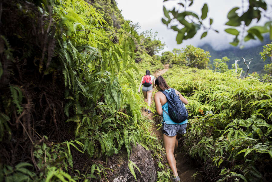 Find Round-Trip Flights to Hawaii for 6 Right Now