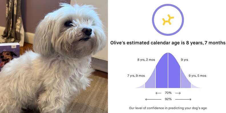 Embark age test
