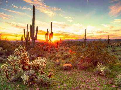 Beautiful Scottsdale Arizona. This is why millions travel here for