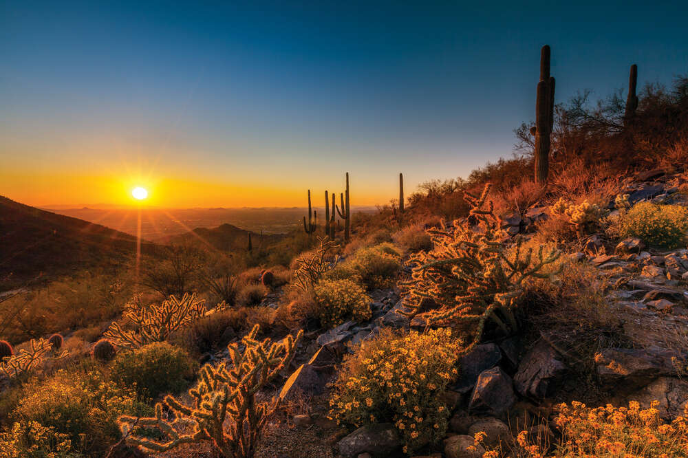 Best Things to Do During Spring Training in Arizona - Thrillist