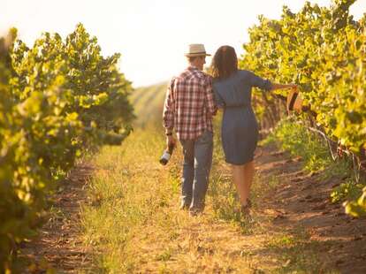 Mission Peak's Pole: Legendary and Iconic - Mission Peak Wine