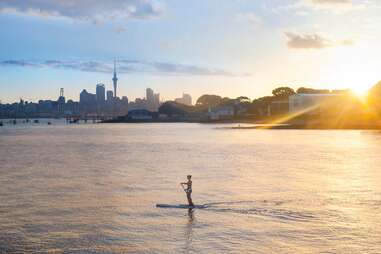 things to do in new zealand during world cup