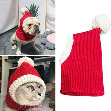 A hood to stay warm throughout the winter: POPETPOP Christmas Pet Hat