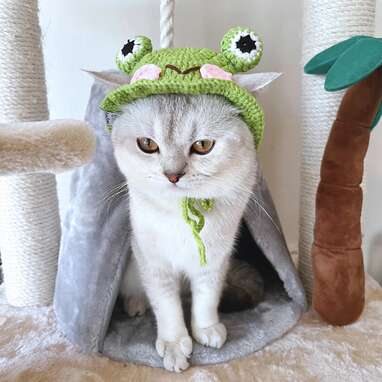Something for the warmer seasons: Kumoribabie Crochet Frog Hat