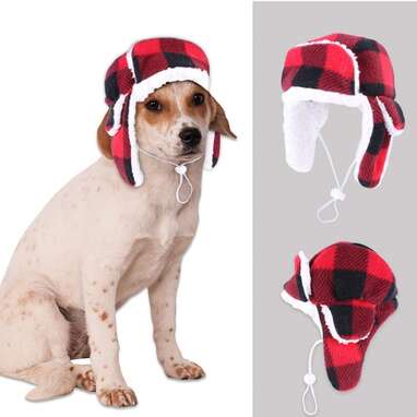For your cat who is an outdoorsman at heart: Stock Show Pet Trapper Hat