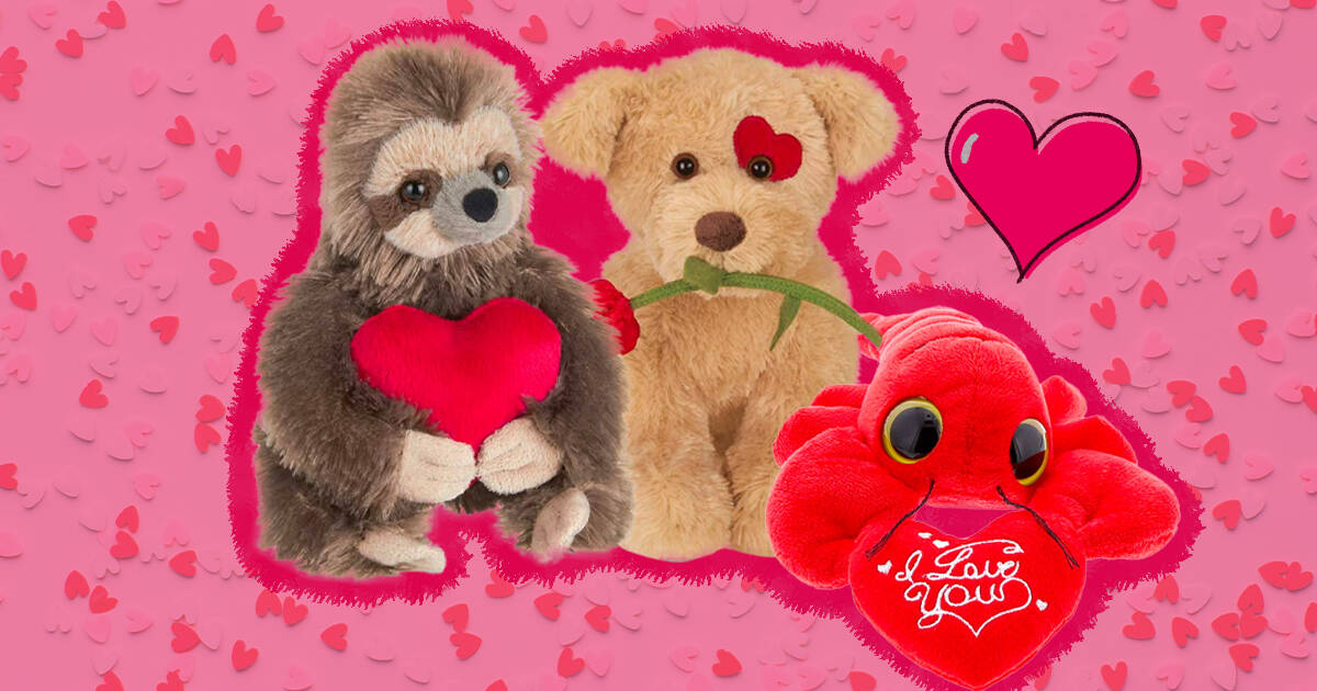 Valentine s Stuffed Animals 12 Cozy Picks To Give The One You Love DodoWell The Dodo