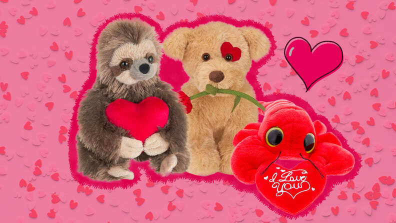 Valentine's day store hedgehog stuffed animal