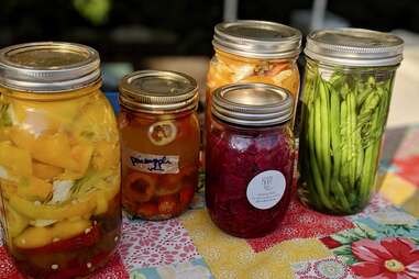 fermentation