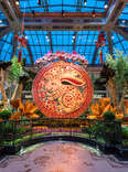 Conservatory and Botanical Gardens