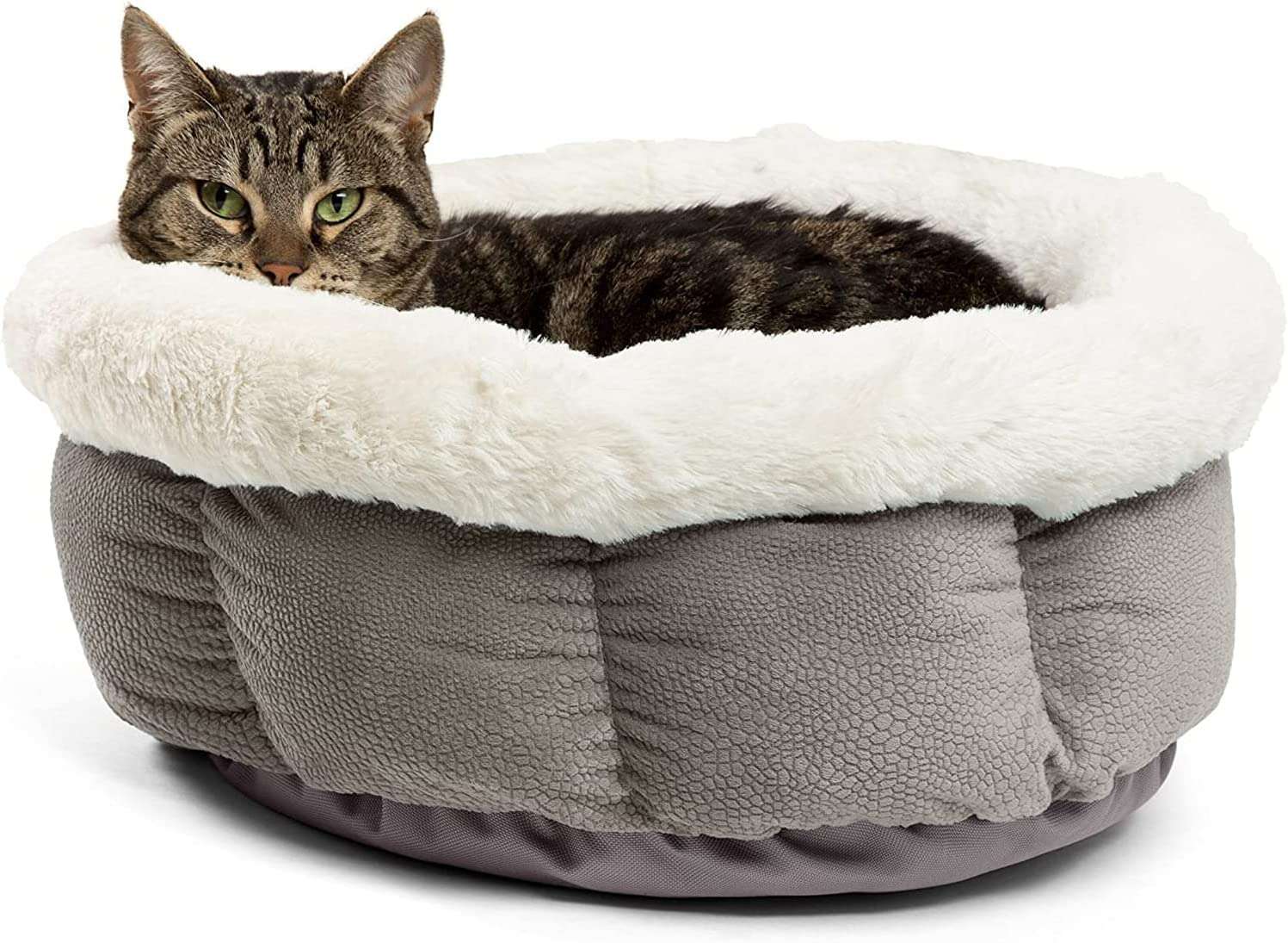 best cat bed cozy