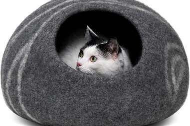 cat cave