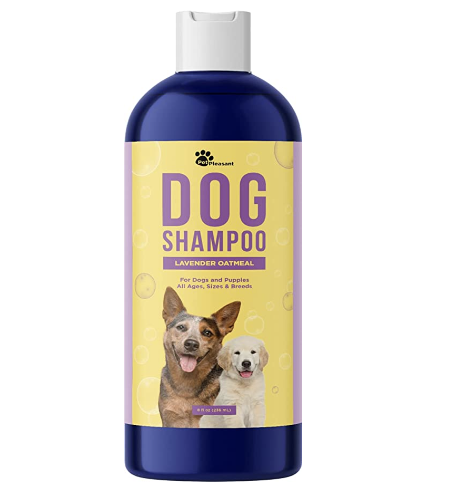 Best dog shampoo for best sale smelly dogs