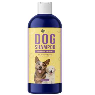 10 Best Smelling Dog Shampoo Options That Will Make Your Pet Smell ...