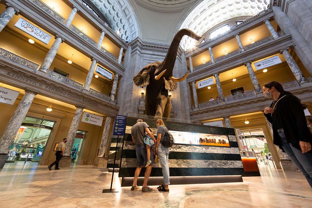 The Best Museum Shops in Washington, D.C.