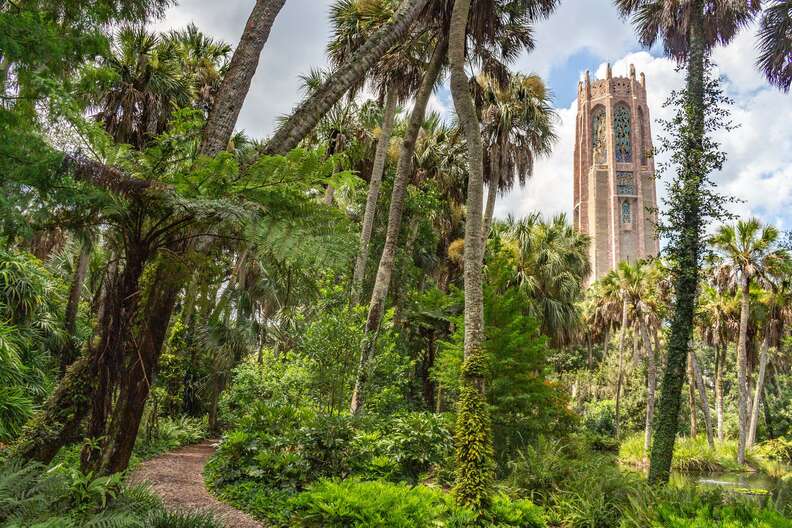 Bok Tower Gardens and trees