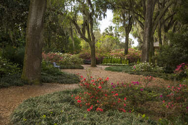 Olmsted garden in peak bloom