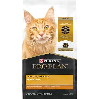 Best dry cat food for seniors: Purina Pro Plan Adult 7+ Dry Cat Food