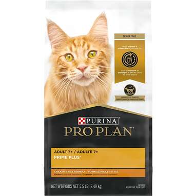 7 Best Dry Cat Food Options According To A Vet DodoWell The Dodo