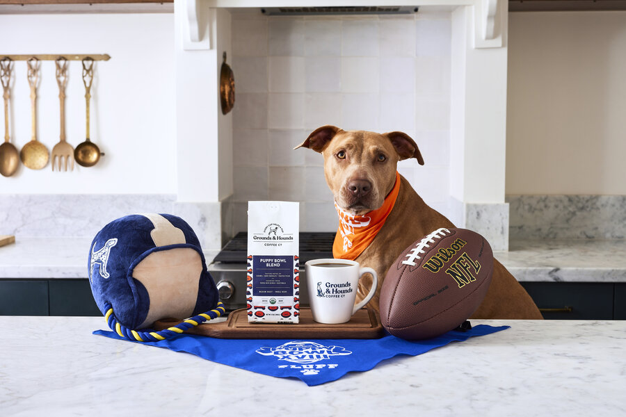 Prepare for Puppy Bowl With Coffee And Toys From Grounds And Hounds