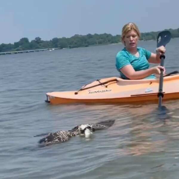 woman helping bird in kayak