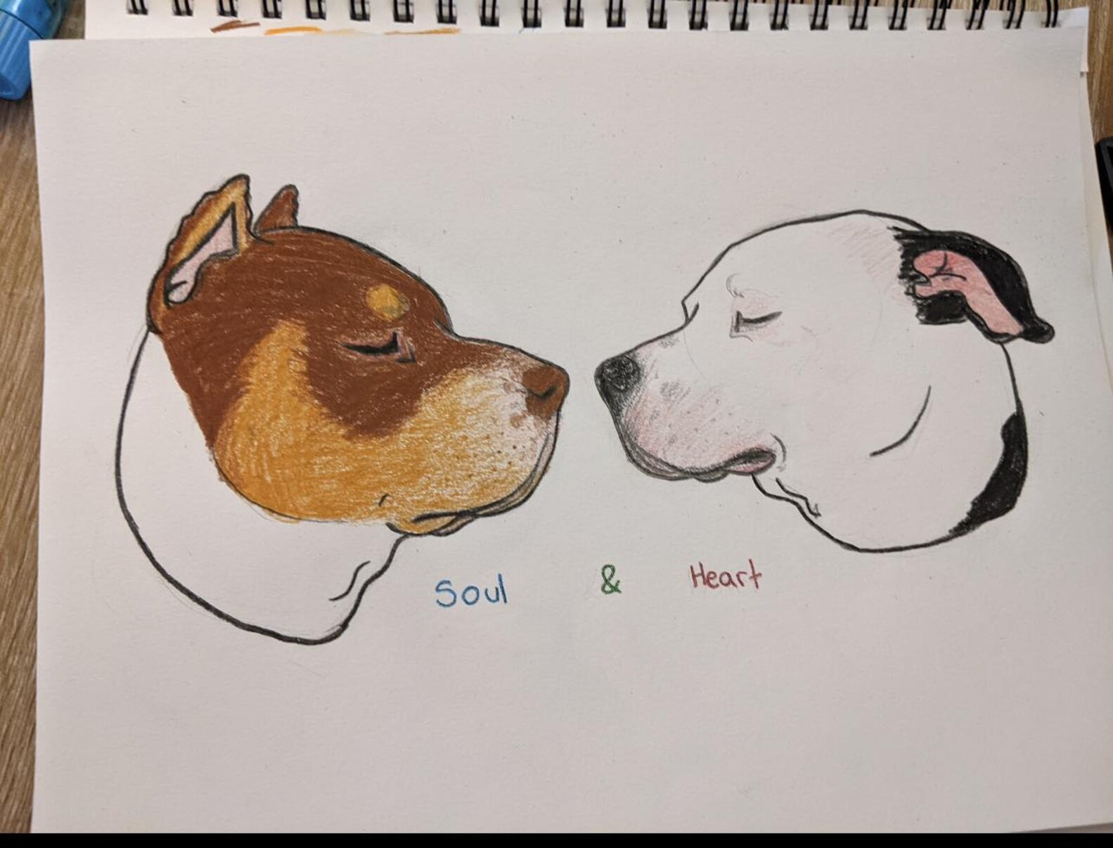 Loyal Dog Stays By Her Best Friend’s Side Until The Very End - The Dodo