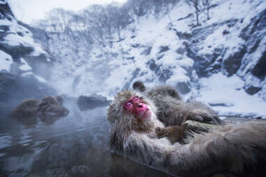 onsen japan