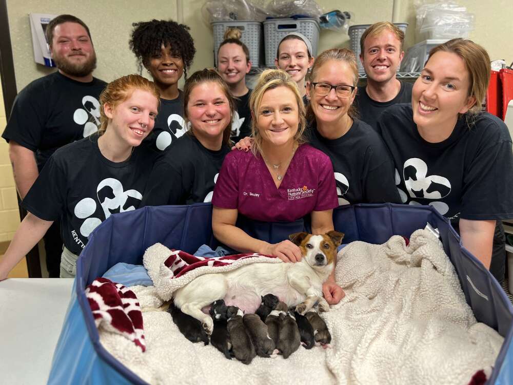 doctors with puppies 