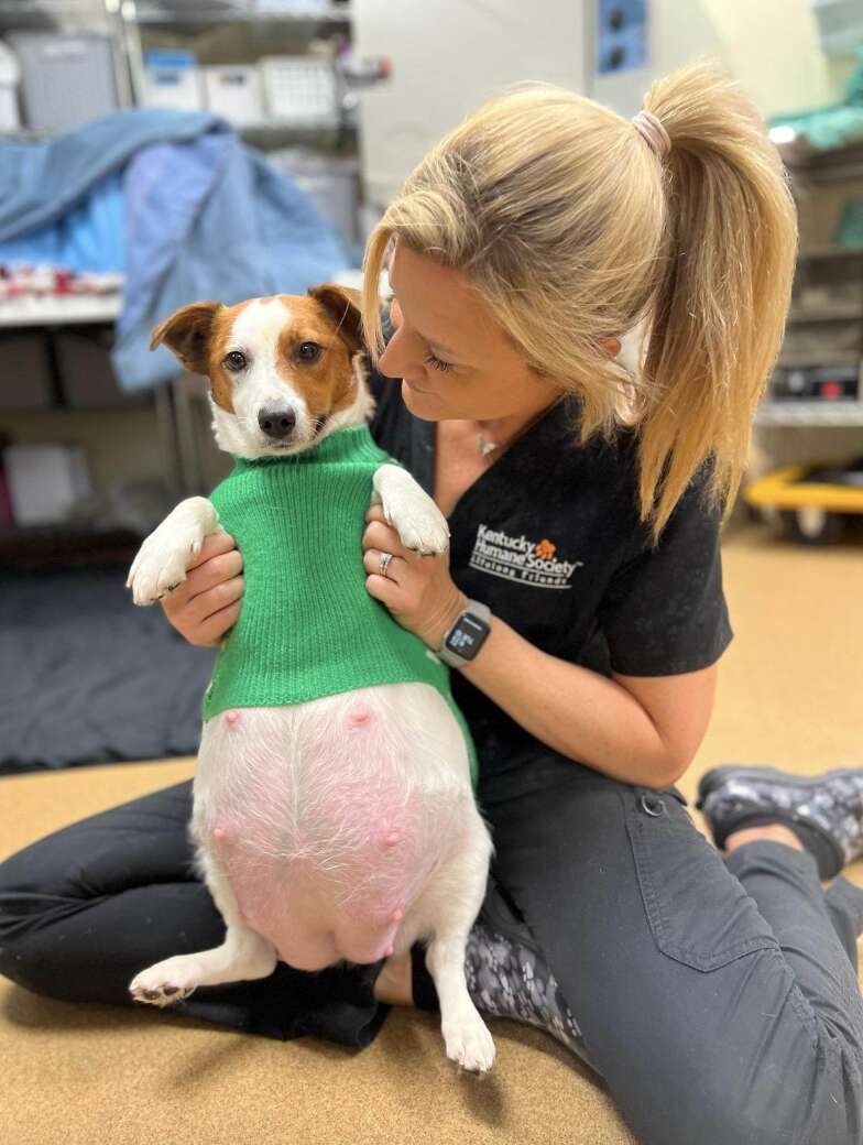 woman with pregnant dog 