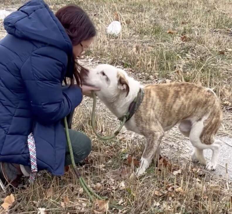 woman looking at dog