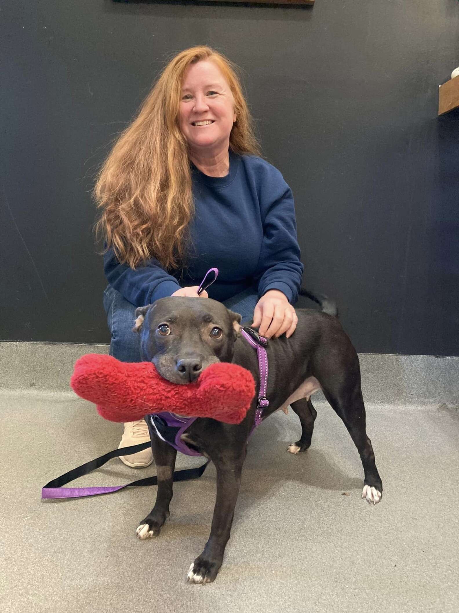 Shelter’s Longest Resident Refuses To Leave Her Plush Toy Collection ...